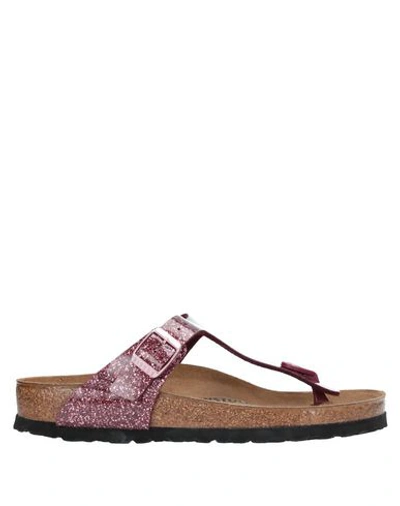 Shop Birkenstock Flip Flops In Maroon