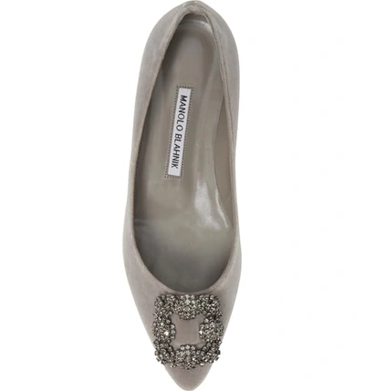 Shop Manolo Blahnik Hangisi Pointed Toe Flat In Grey Velvet