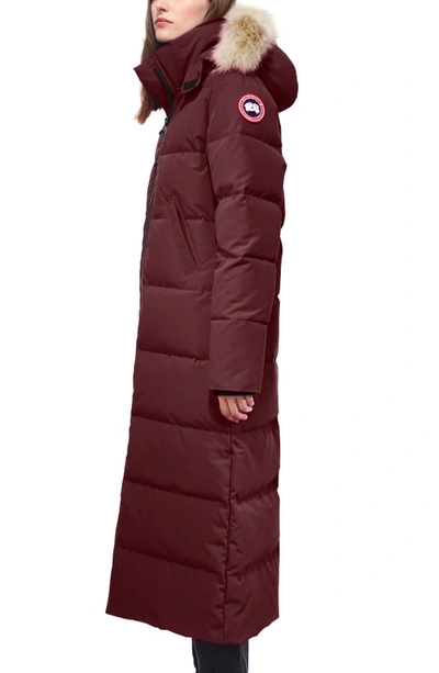 Shop Canada Goose Mystique Down Parka With Genuine Coyote Fur Trim In Elderberry