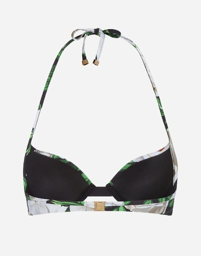 Shop Dolce & Gabbana Push Up Swimming Bra With White Rose Print In Floral Print