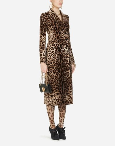 Shop Dolce & Gabbana Double-breasted Coat In Leopard-print Velvet In Leo Print