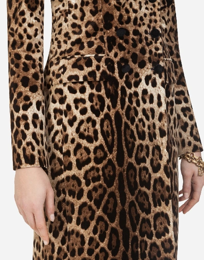 Shop Dolce & Gabbana Double-breasted Coat In Leopard-print Velvet In Leo Print