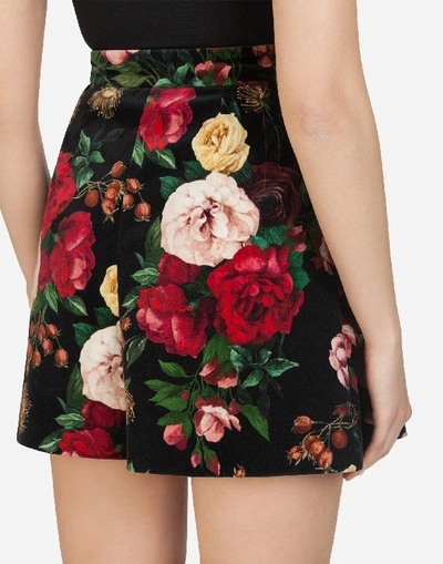 Shop Dolce & Gabbana High-waisted Velvet Shorts With Baroque Rose Print In Multi-colored