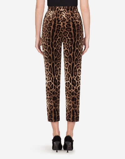Shop Dolce & Gabbana High-waisted Pants In Leopard-print Velvet In Leo Print