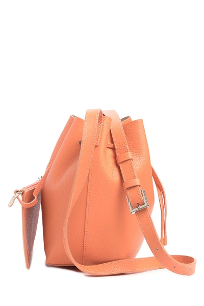 Shop Lancaster Pur Element Foulonne Leather Crossbody Bucket Bag In Canyon/beige