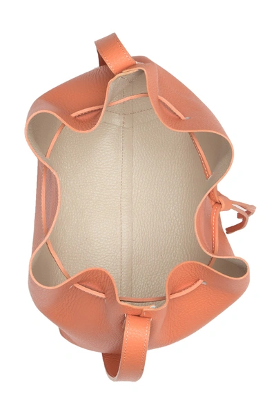 Shop Lancaster Pur Element Foulonne Leather Crossbody Bucket Bag In Canyon/beige