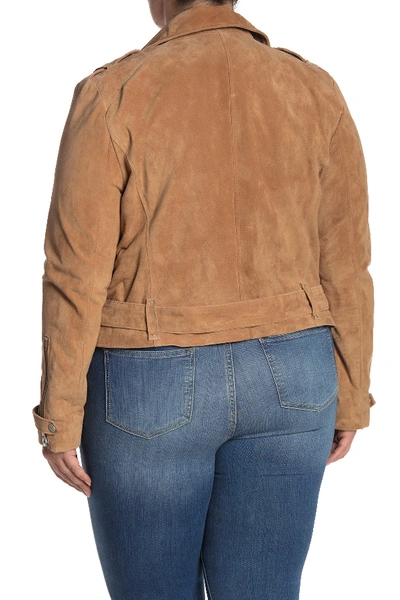 Shop Andrew Marc Sabrina Suede Moto Jacket In Cognac