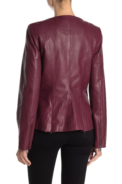 Shop Badgley Mischka Leather Jacket In Berry