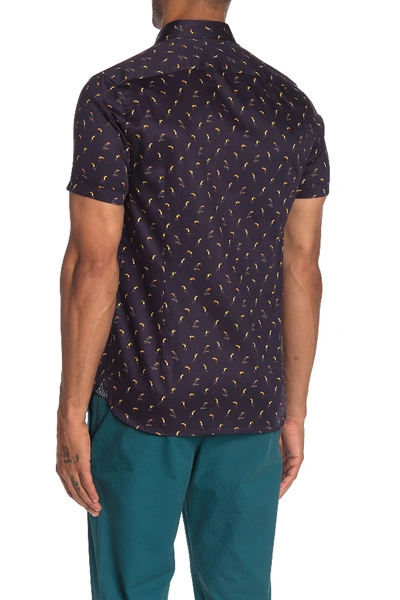 Shop Ted Baker Phmingo Toucan Print Short Sleeve Slim Fit Shirt In Navy