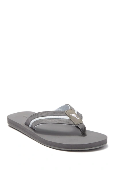 Shop Tommy Bahama Fiji Flip Flop In Grey/white