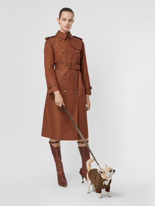 burberry dog lead