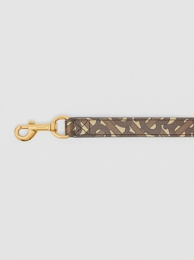 Shop Burberry Monogram Print E-canvas Dog Leash In Bridle Brown