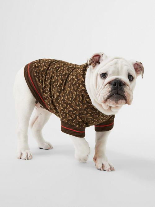 burberry dog hoodie