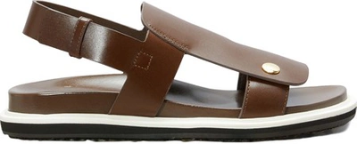 Shop Marni Flat Leather Sandals In Dark Tobacco