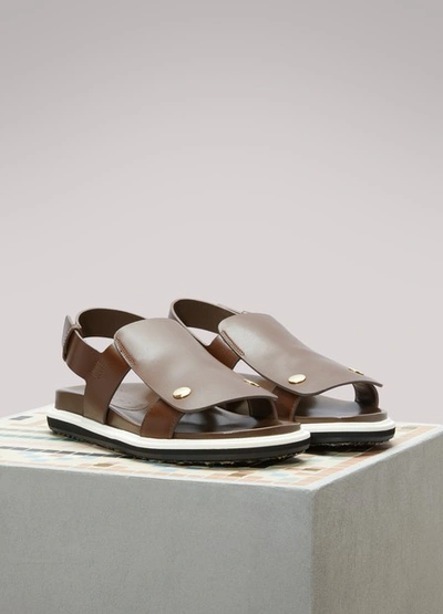 Shop Marni Flat Leather Sandals In Dark Tobacco