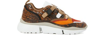 Shop Chloé Sonnie Sneakers In Chestnut Brown