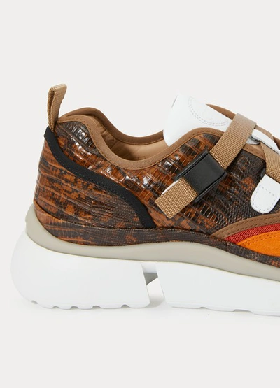 Shop Chloé Sonnie Sneakers In Chestnut Brown