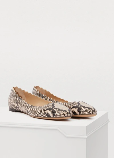 Shop Chloé Lauren Ballet Pumps In Eternal Grey