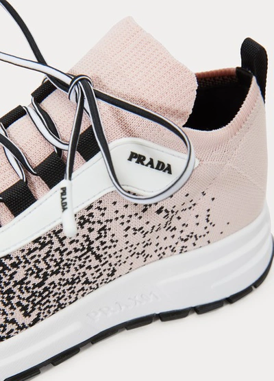 Shop Prada Low-top Sneakers In Alabastro+nero