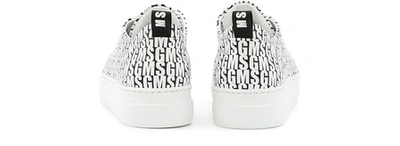 Shop Msgm Carpa Donna Logo Trainers In Black / White