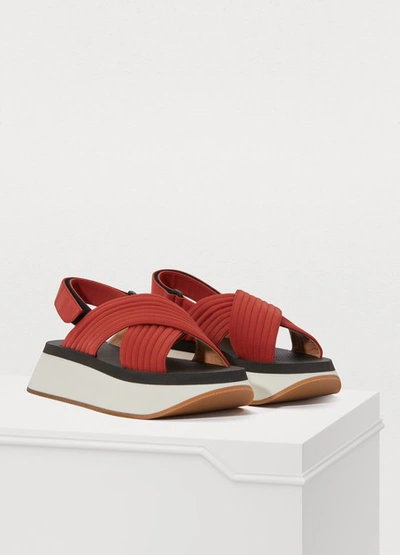 Shop Marni Sandals In Clay