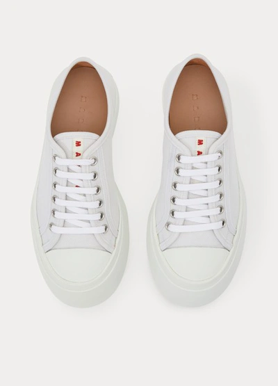 Shop Marni Wedge Sneakers In Lily White