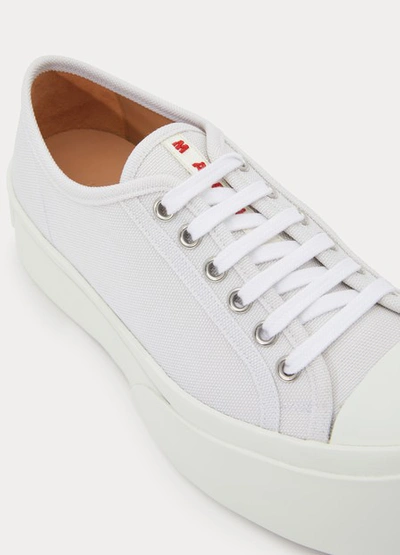 Shop Marni Wedge Sneakers In Lily White