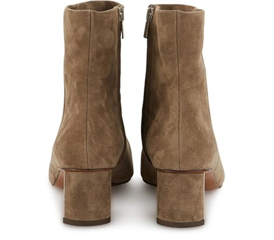 Clergerie Secret Suede Point Toe Booties In Dark Beige