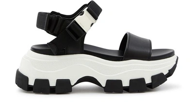 Shop Prada Pegasus Sandals In Blk/wht