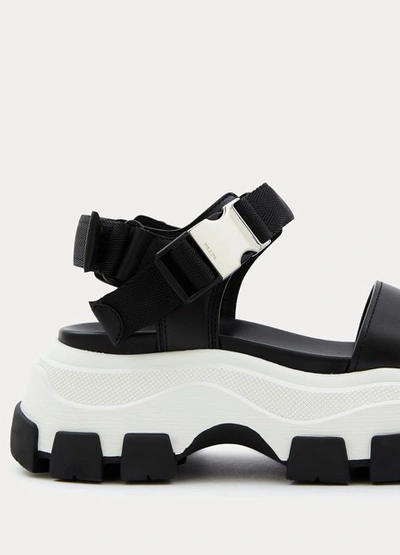 Shop Prada Pegasus Sandals In Blk/wht