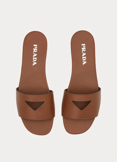 Shop Prada Flat Sandals In Brandy