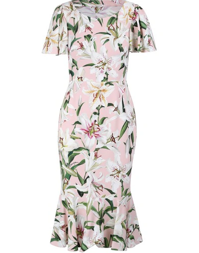 Shop Dolce & Gabbana Floral Print Dress In Rosa