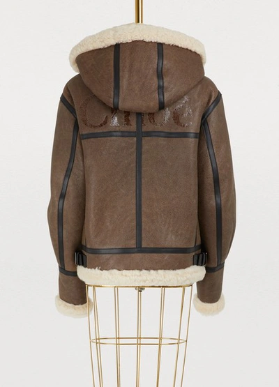 Shop Chloé Shearling Bomber Jacket In Authentic Brown