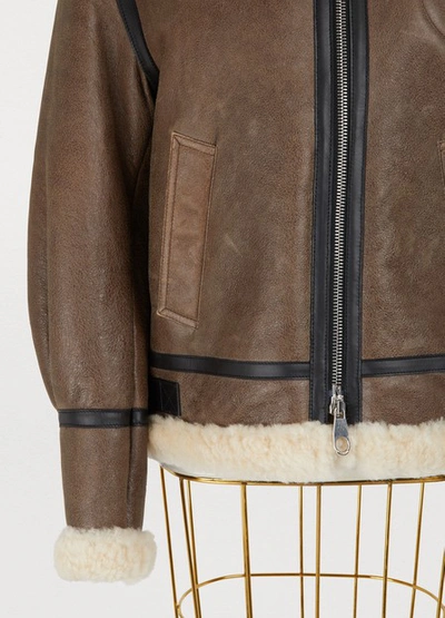 Shop Chloé Shearling Bomber Jacket In Authentic Brown