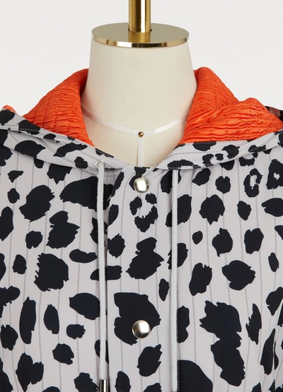 Shop Koché Hooded Coat In Light Grey/leopard