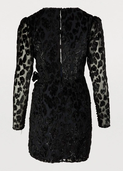 Shop Self-portrait Leopard Dress In Black - Navy