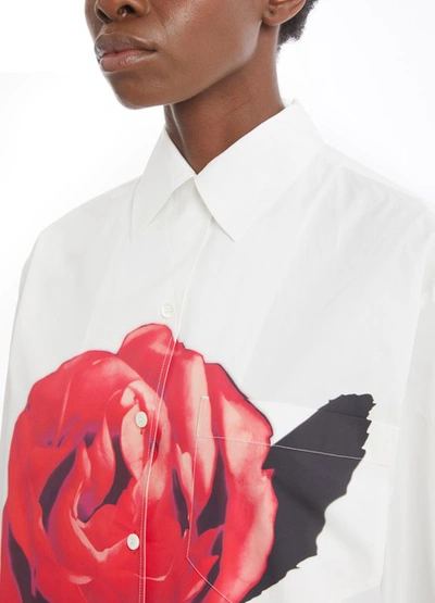 Shop Prada Rose Shirt In White