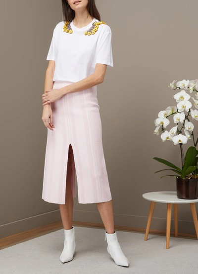 Shop Proenza Schouler Knit Pencil Skirt In Light Pink