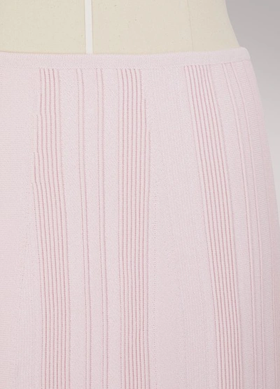 Shop Proenza Schouler Knit Pencil Skirt In Light Pink