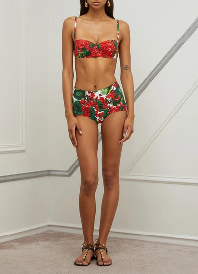 Shop Dolce & Gabbana Printed Bikini Bottoms In Gerani Fdo Bco Nat