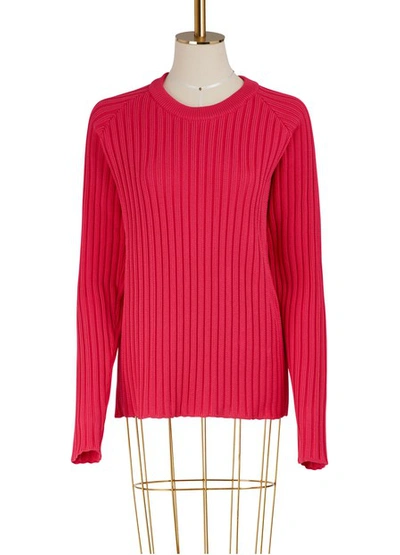 Shop Ami Alexandre Mattiussi Ribbed Sweater In Pink