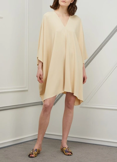 Shop The Row Iona Dress In Beige