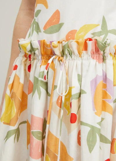 Shop Rejina Pyo Leah Midi Dress In Cotton Bamboo Print Fruit