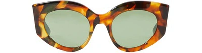 Shop Gucci Injected Sunglasses In Avana/multi