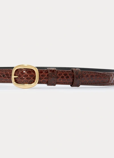 Shop Celine Elegant Belt In Water Snake Leather. In Brown