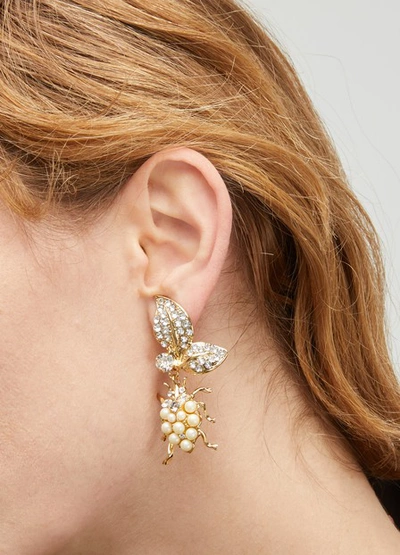 Shop Dolce & Gabbana Insect Earrings In Gold
