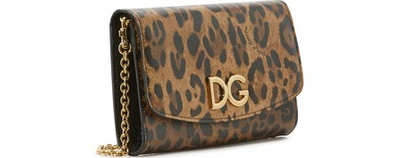 Shop Dolce & Gabbana Leopard Mini Bag In Léopard