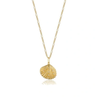 Shop Edge Of Ember Ocean Shell Necklace