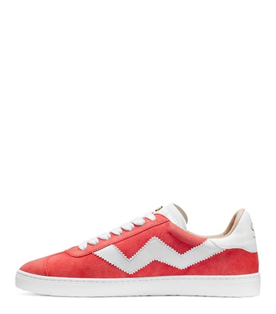 Shop Stuart Weitzman The Daryl Sneaker In Watermelon Pink Suede