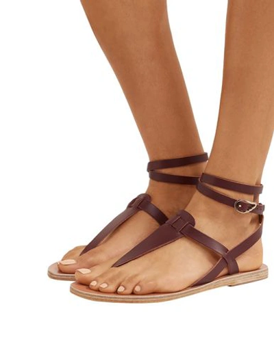 Shop Ancient Greek Sandals Woman Toe Strap Sandals Cocoa Size 10 Soft Leather In Brown